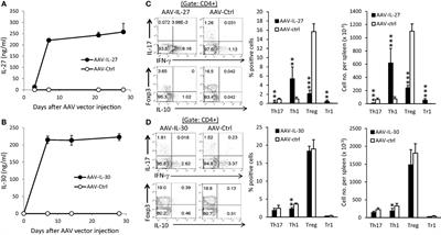 Interleukin-27 Gene Therapy Prevents the Development of Autoimmune Encephalomyelitis but Fails to Attenuate Established Inflammation due to the Expansion of CD11b+Gr-1+ Myeloid Cells